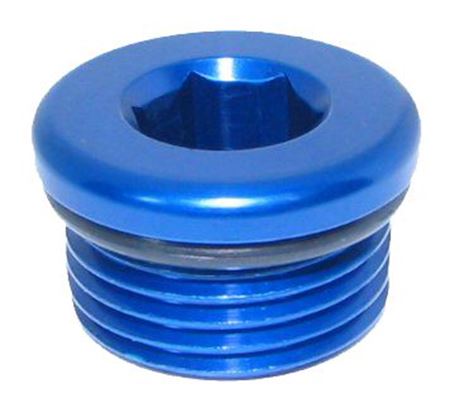 Picture of O-Ring Plug